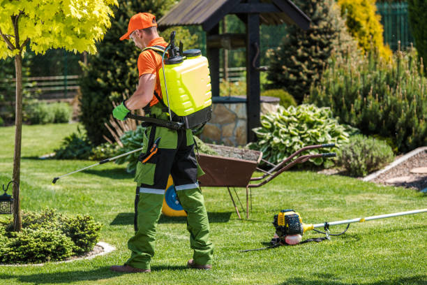 Best Pest Exclusion Services  in Piermont, NY